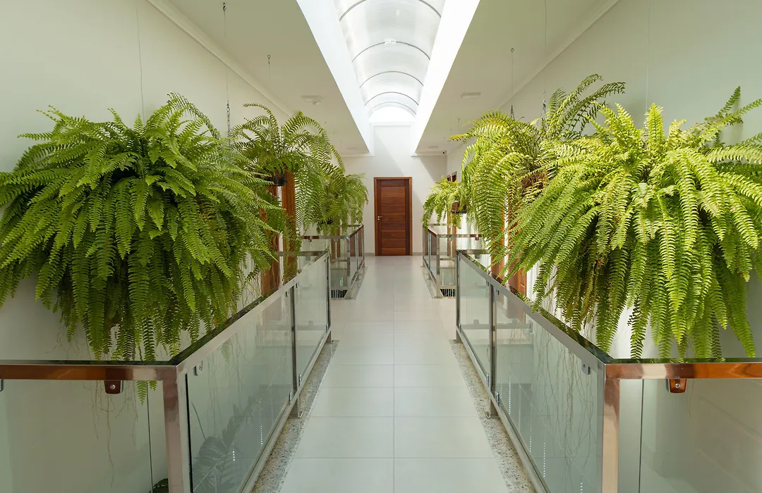 Orquídeas Praia Hotel-1
